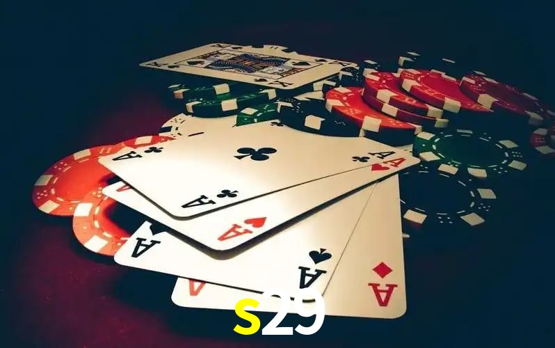 s29,s29 bet